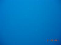 DSCN5990